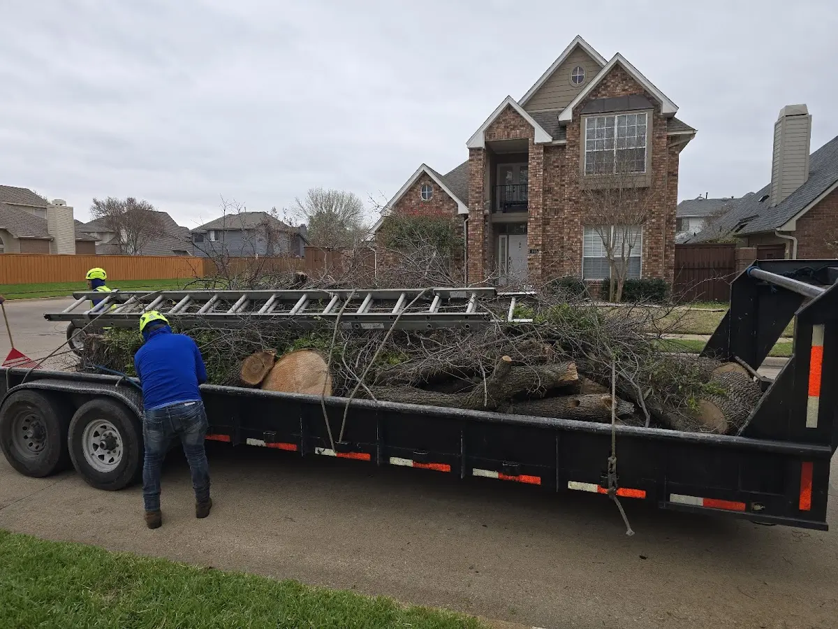 Expert Lot Clearing with proper safety equipment in Pittston